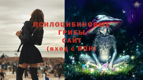 метамфетамин Белокуриха