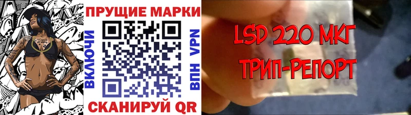 продажа наркотиков  ОМГ ОМГ как зайти  Марки N-bome 1,8мг  Очёр 