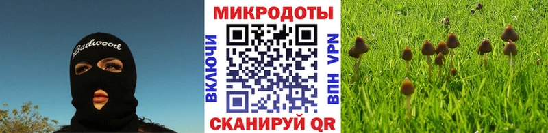 закладка Очёр KRAKEN ONION Псилоцибиновые грибы Magic Shrooms